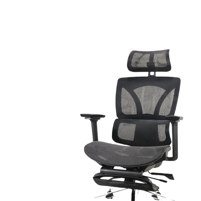 Ergonomic Office Chair for Rui - Ergonomic Office Chair review and price