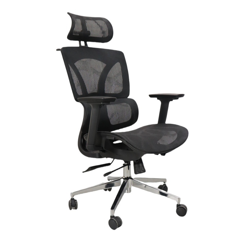 Ergonomic Office Chair for Rui - Ergonomic Office Chair review and price