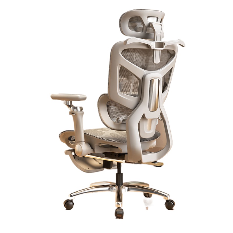 Ergonomic Office Chair for Com - Ergonomic Office Chair review and price