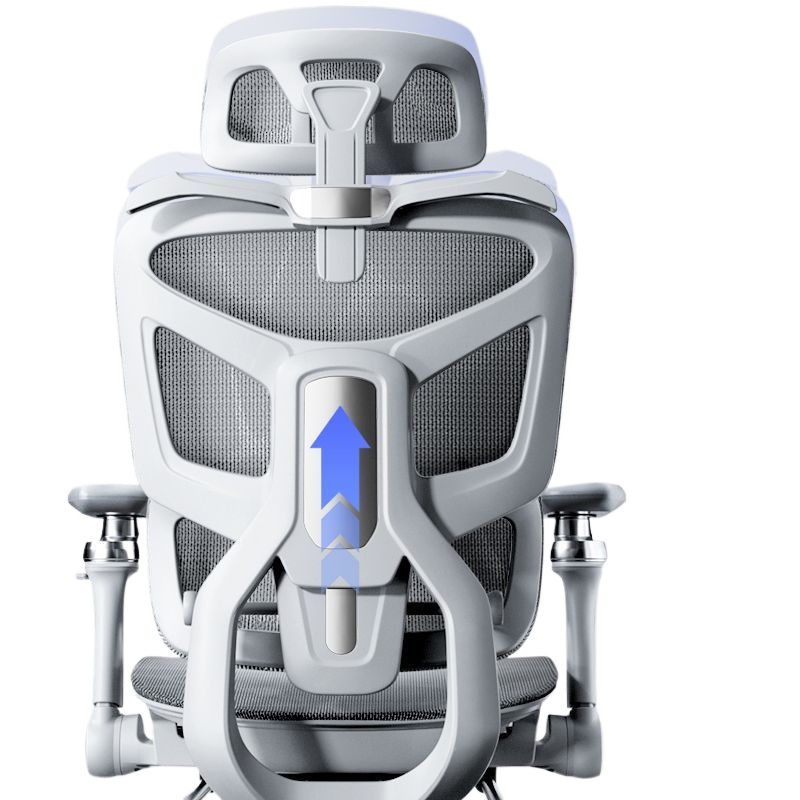 Ergonomic Office Chair for Com - Ergonomic Office Chair review and price
